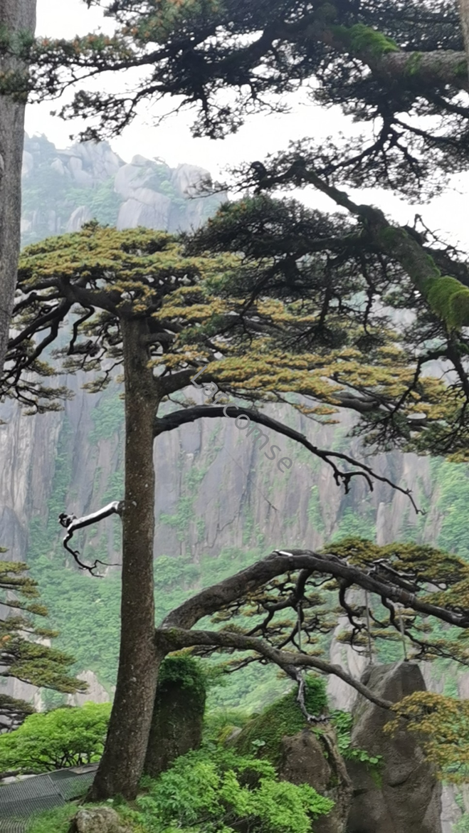 快速退火爐 快速退火爐